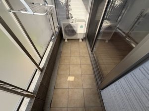 Ｓｈａｍａｉｓｏｎ　∞　＊＊ A0101号-12