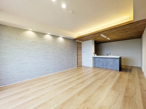 U Shamaison A0202号-2