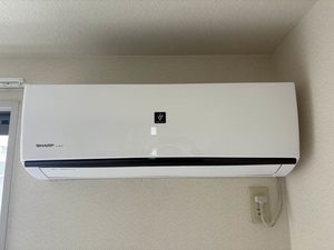 オー・ボアパティール　　Ｃ棟 A0202号-9