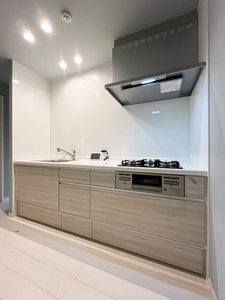 シャーメゾン赤坂けやき通り A0101号-5