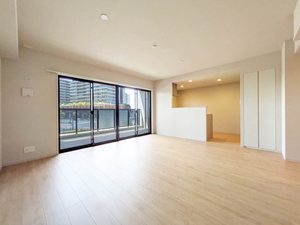 Ｎｕｄｇｅｏｎｅ．照葉 A0203号-4