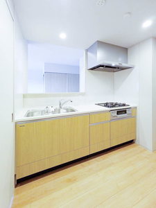 Ｎｕｄｇｅｏｎｅ．照葉 A0205号-5