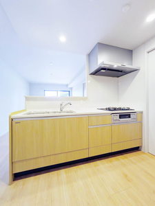 Ｎｕｄｇｅｏｎｅ．照葉 A0206号-4