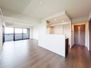 Ｎｕｄｇｅｏｎｅ．照葉 A1101号-2