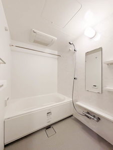 Ｎｕｄｇｅｏｎｅ．照葉 A1101号-11