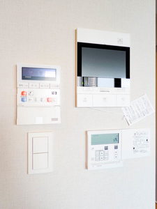 Ｎｕｄｇｅｏｎｅ．照葉 A1107号-12