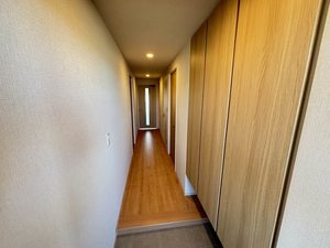 Ｎｕｄｇｅｏｎｅ．照葉 A1202号-13