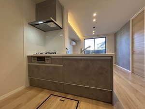 Ｓｈａｍａｉｓｏｎ　Ｐａｓｔｅｑｕｅ A0107号-3