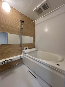 Ｓｈａｍａｉｓｏｎ　Ｐａｓｔｅｑｕｅ A0107号-4