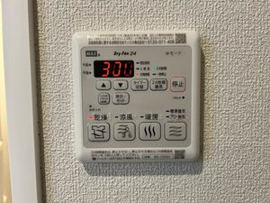 Ｓｈａｍａｉｓｏｎ　Ｐａｓｔｅｑｕｅ A0107号-9