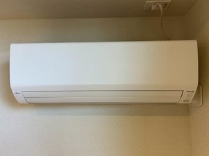 Ｓｈａｍａｉｓｏｎ　Ｐａｓｔｅｑｕｅ A0107号-10