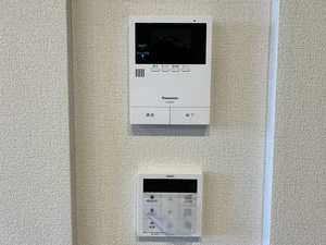 Ｓｈａｍａｉｓｏｎ　Ｐａｓｔｅｑｕｅ A0107号-11