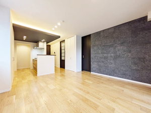 プレミアス城西 A0202号-3