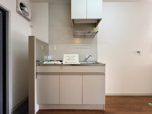 エントピア黒髪 ** A0101号-3