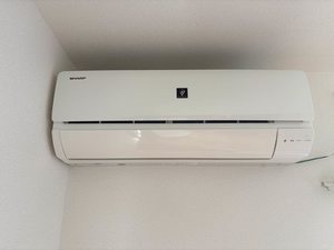 エントピア黒髪 ** A0101号-9