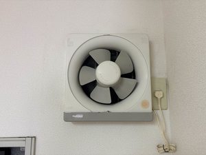 エントピア黒髪 ** A0101号-10