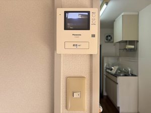 エントピア黒髪 ** A0101号-12