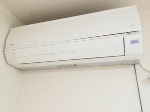 エントピア黒髪 ** A0102号-3