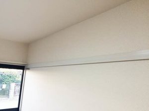 エントピア黒髪 ** A0102号-12
