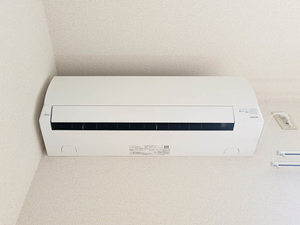 エントピア黒髪 ** A0106号-12