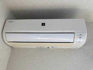 エントピア黒髪 ** A0201号-4