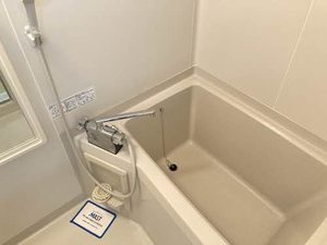 エントピア黒髪 ** A0201号-10