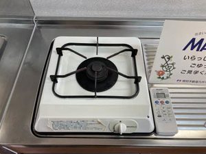 エントピア黒髪 ** A0201号-12