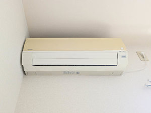 エントピア黒髪 ** A0206号-12