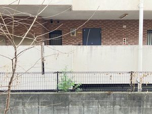 アーデンハイツ　＊＊ A0101号-14