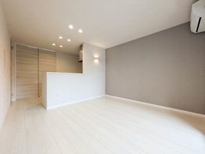 ＳｈａＭａｉｓｏｎ　ＣｏｕｒａｇｅⅥ A0201号-2