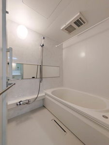 ＳｈａＭａｉｓｏｎ　ＣｏｕｒａｇｅⅥ A0201号-4