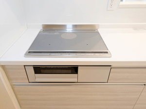 ＳｈａＭａｉｓｏｎ　ＣｏｕｒａｇｅⅥ A0201号-12