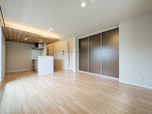 ＳｈａＭａｉｓｏｎ　ＣｏｕｒａｇｅⅥ A0202号-2