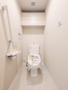 ＳｈａＭａｉｓｏｎ　ＣｏｕｒａｇｅⅥ A0202号-5