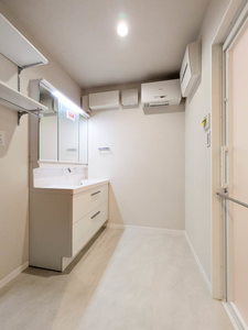 ＳｈａＭａｉｓｏｎ　ＣｏｕｒａｇｅⅥ A0301号-9