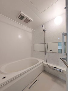 ＳｈａＭａｉｓｏｎ　ＣｏｕｒａｇｅⅥ A0301号-12