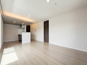 ＳｈａＭａｉｓｏｎ　ＣｏｕｒａｇｅⅥ A0302号-2