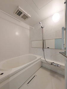 ＳｈａＭａｉｓｏｎ　ＣｏｕｒａｇｅⅥ A0302号-12