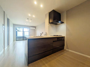 シャーメゾンシンシア A0103号-3