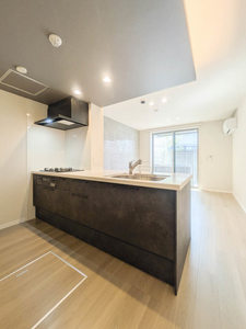 ベンガレンシス A0101号-3