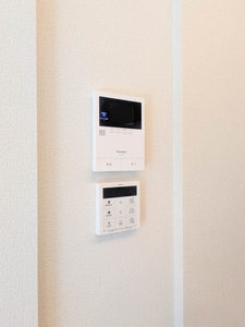 ベンガレンシス A0101号-11