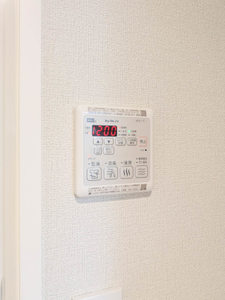 ベンガレンシス A0101号-12