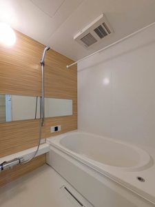 ベンガレンシス A0102号-8