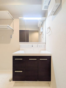 ベンガレンシス A0201号-7