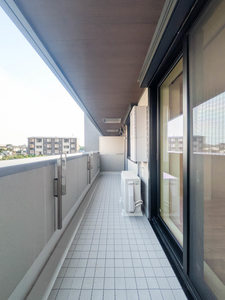 ベンガレンシス A0202号-10