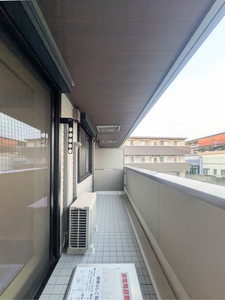 ベンガレンシス A0203号-10