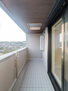 ベンガレンシス A0205号-10