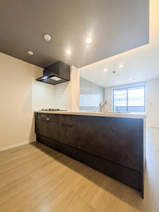 ベンガレンシス A0301号-6