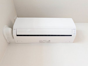 ベンガレンシス A0301号-11