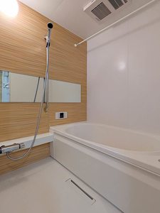 ベンガレンシス A0302号-8